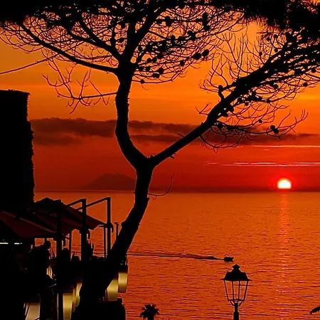 Dreams Mare 