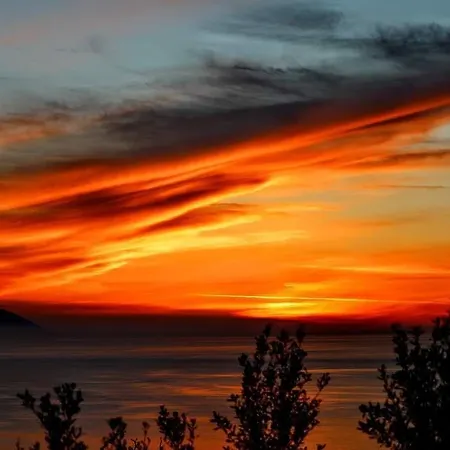 Dreams Mare 